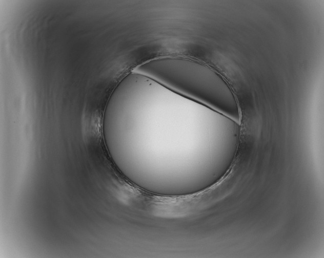 X0000115300045200911091021