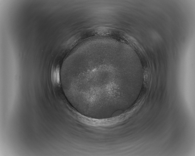 X0000115300046200911091021