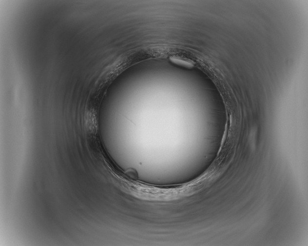 X0000115300048200911091021