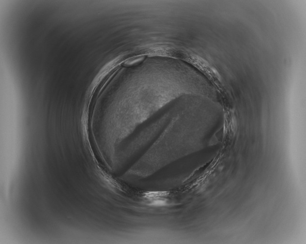 X0000115300051200911091020