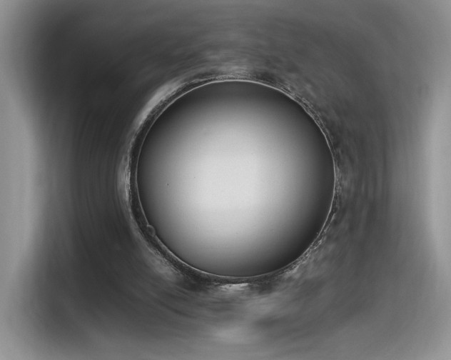 X0000115300054200911091020