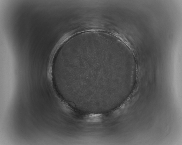 X0000115300055200911091020