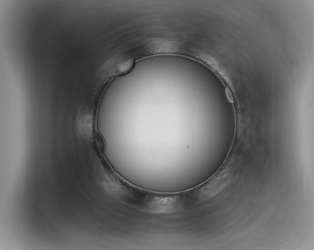 X0000115300057200911091020