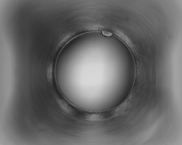 X0000115300058200911091020