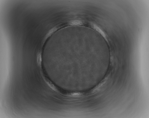 X0000115300059200911091020