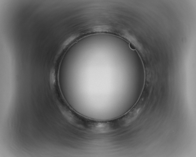 X0000115300060200911091020