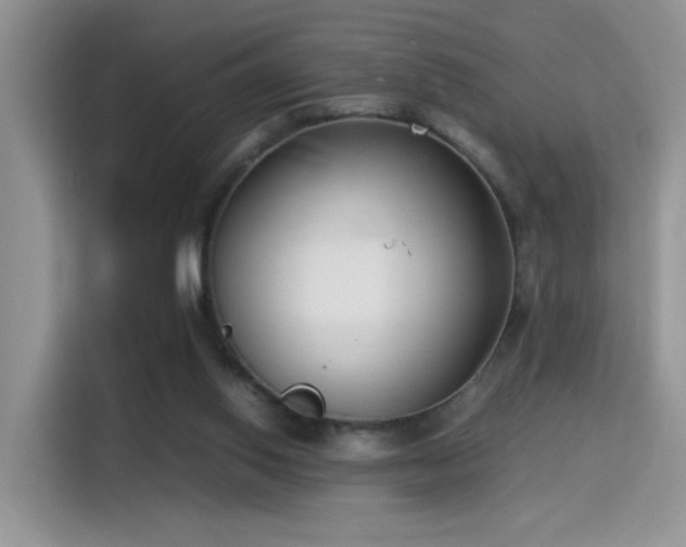 X0000115300062200911091020