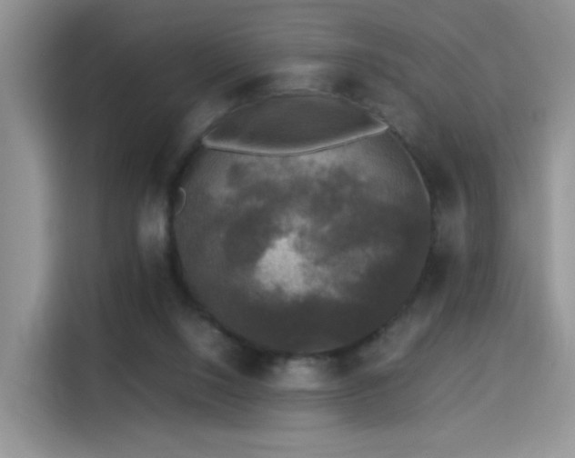 X0000115300064200911091020