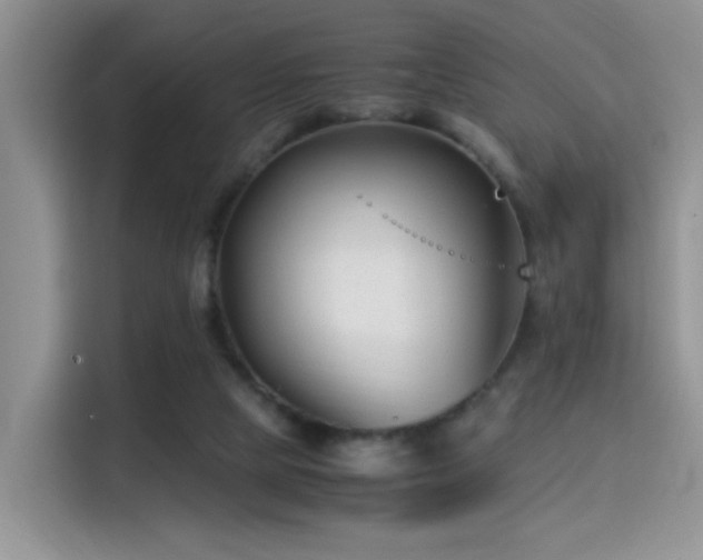 X0000115300065200911091020