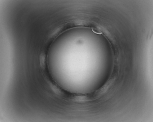 X0000115300066200911091020