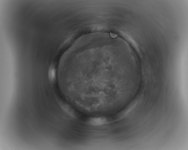 X0000115300067200911091020