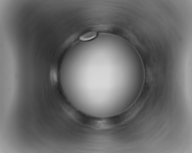 X0000115300068200911091020