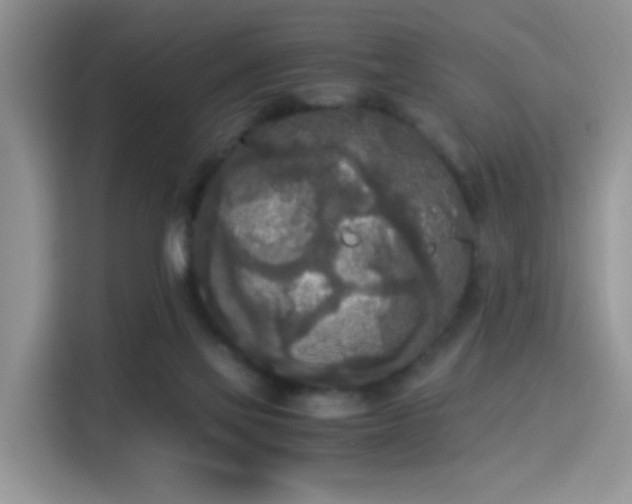 X0000115300069200911091020