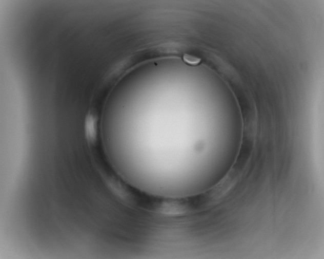 X0000115300070200911091020