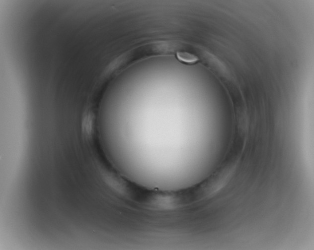 X0000115300071200911091020