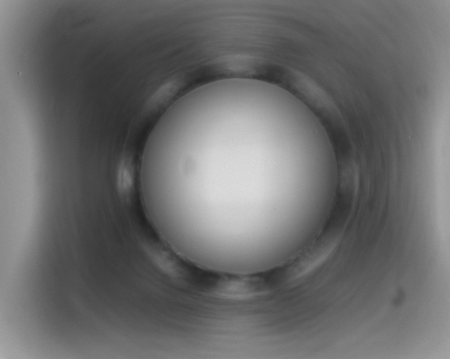 X0000115300072200911091020