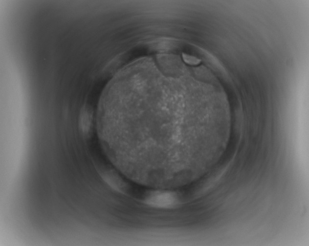 X0000115300073200911091020