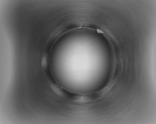 X0000115300074200911091020