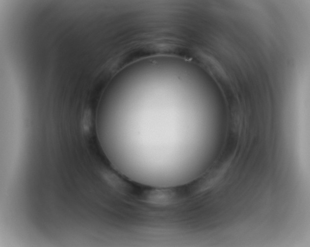 X0000115300077200911091020