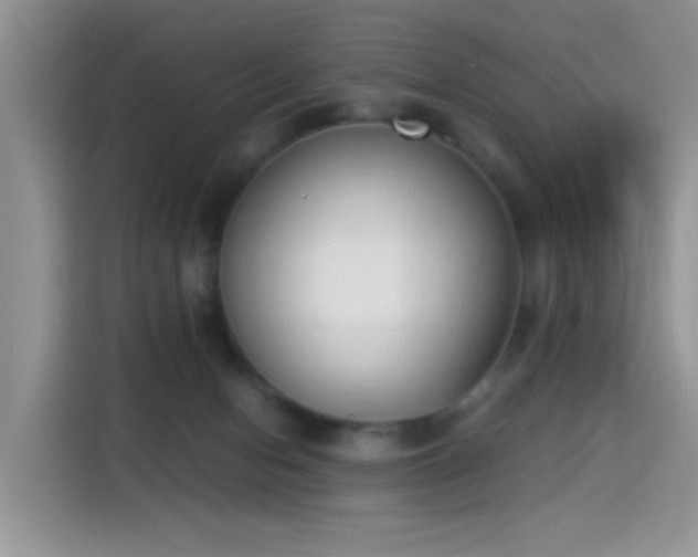 X0000115300078200911091020