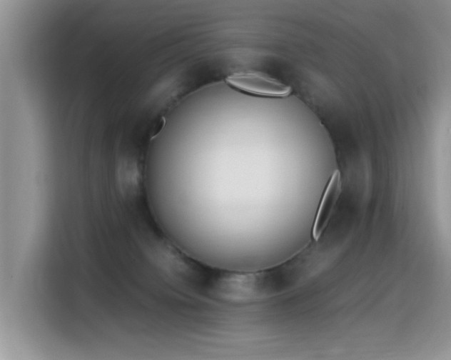 X0000115300084200911091020