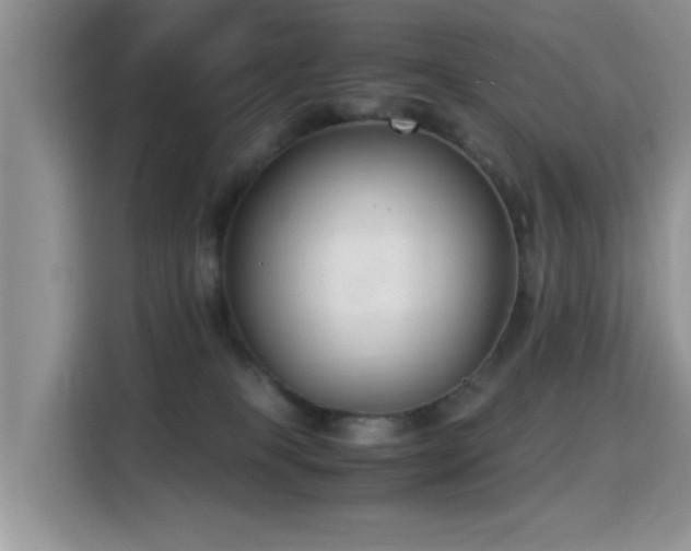 X0000115300085200911091020