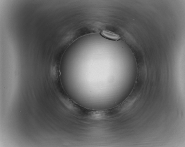 X0000115300088200911091021