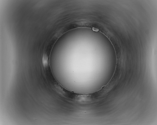 X0000115300089200911091021