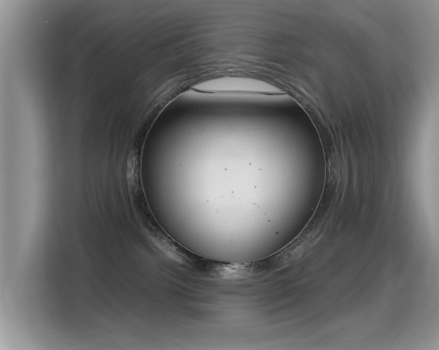 X0000115300092200911091021