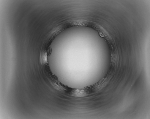 X0000115300095200911091021