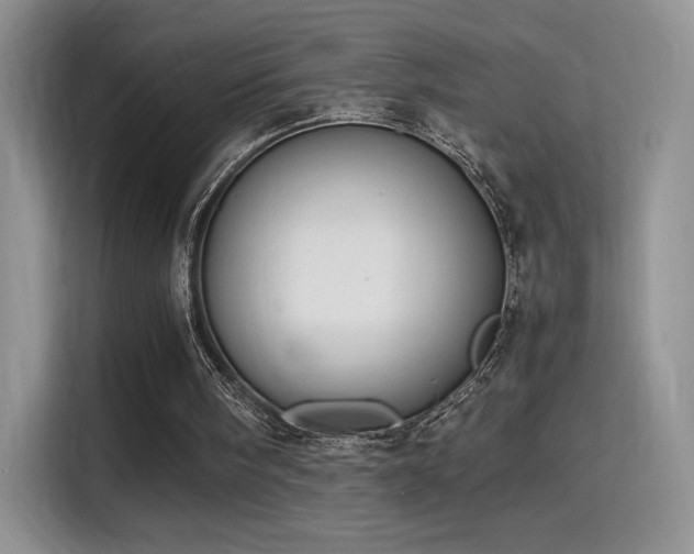 X0000115300098200911091020