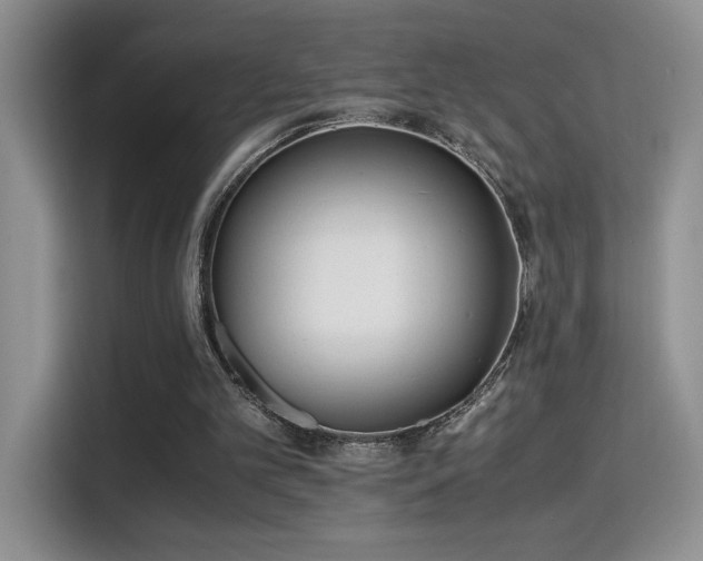 X0000115300101200911091020