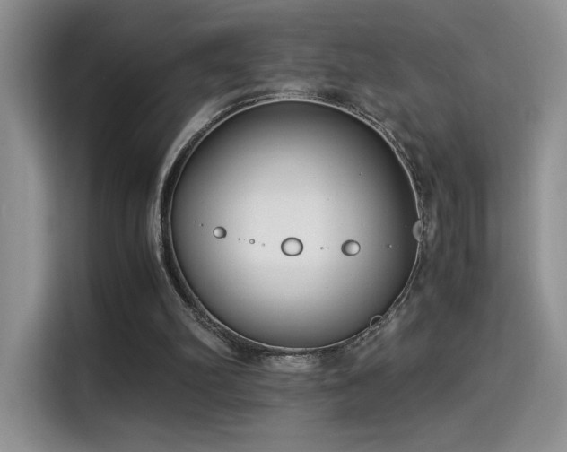 X0000115300102200911091020