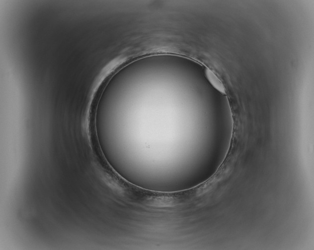 X0000115300104200911091020