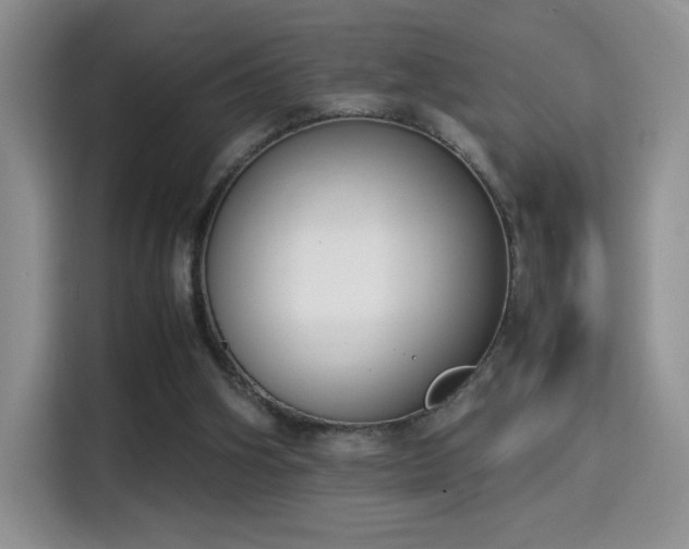 X0000115300106200911091020