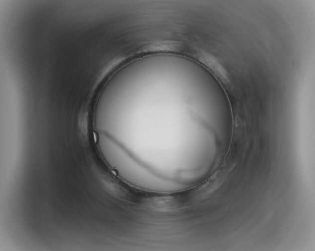 X0000115300108200911091020