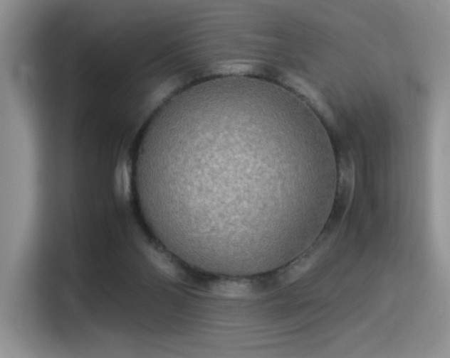 X0000115300110200911091020