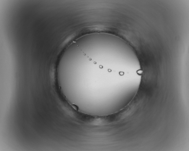 X0000115300111200911091020