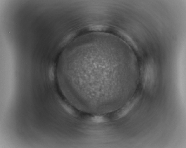 X0000115300114200911091020