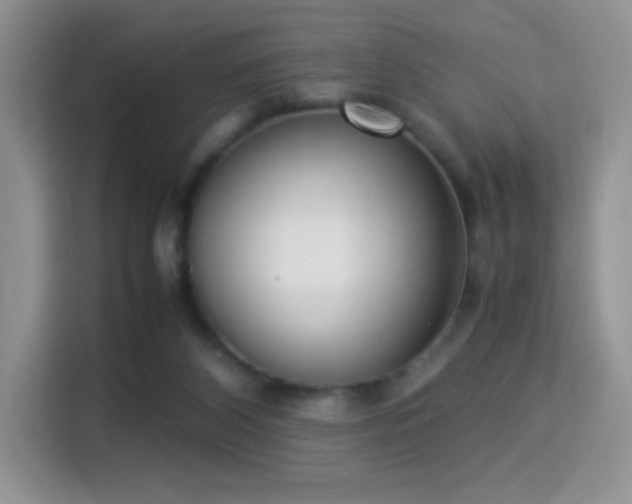 X0000115300116200911091020