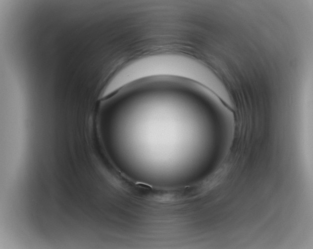 X0000115300120200911091020