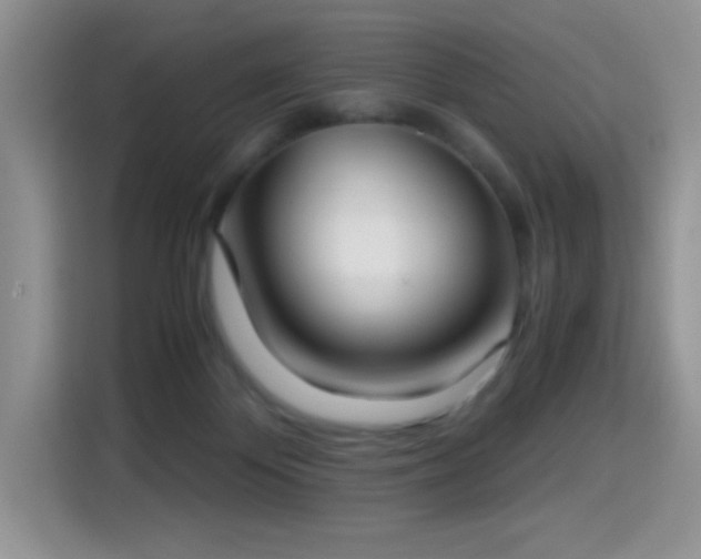 X0000115300124200911091020