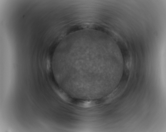 X0000115300130200911091020