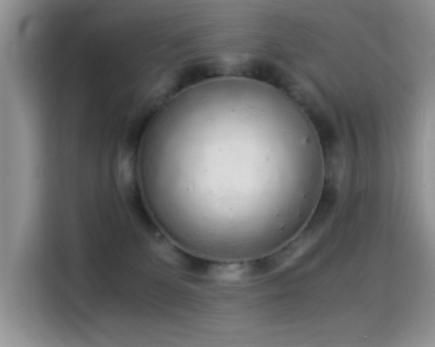 X0000115300131200911091020