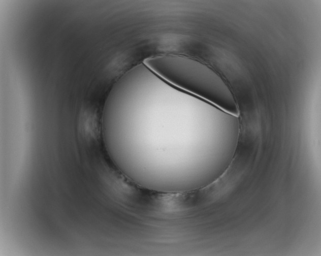 X0000115300136200911091019