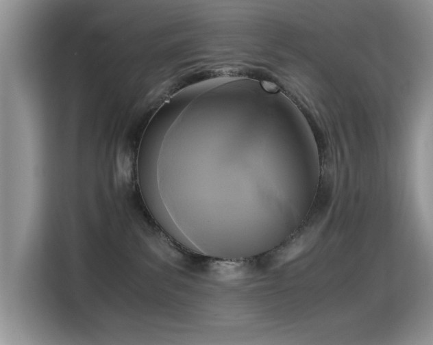 X0000115300139200911091019