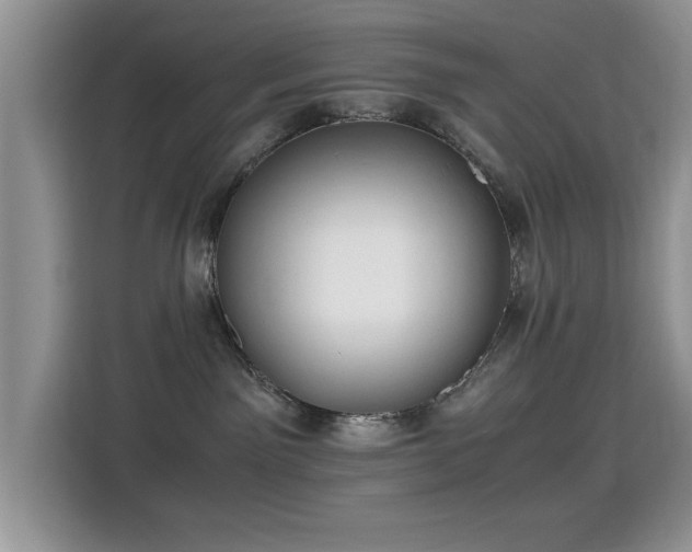 X0000115300141200911091019