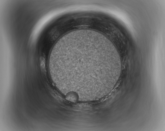 X0000115300146200911091019