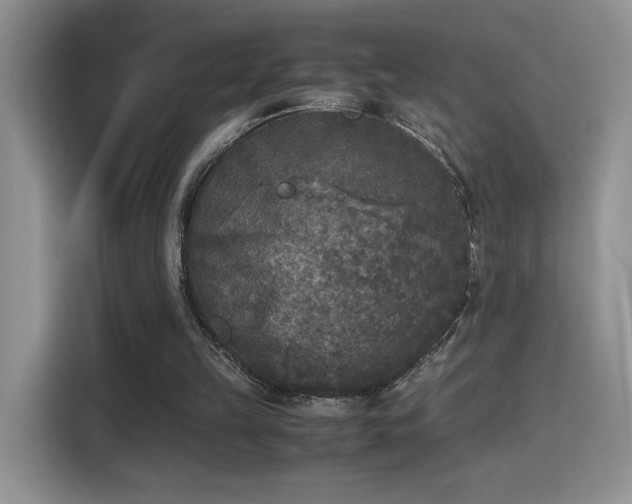 X0000115300149200911091019