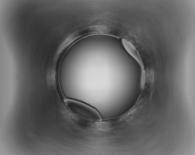 X0000115300150200911091019